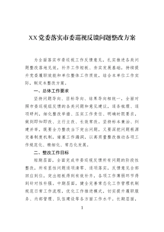 XX党委落实市委巡视反馈问题整改方案
