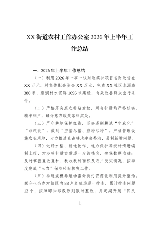 XX街道农村工作办公室2026年上半年工作总结