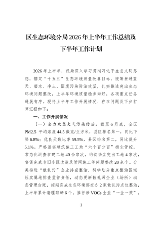 区生态环境分局2026年上半年工作总结及下半年工作计划 (1)