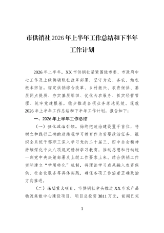 市供销社2026年上半年工作总结和下半年工作计划 (1)