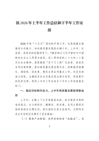 镇2026年上半年工作总结和下半年工作安排 (1)