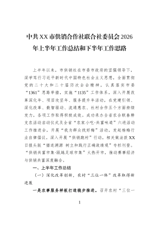 中共XX市供销合作社联合社委员会2026年上半年工作总结和下半年工作思路
