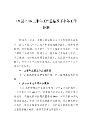 XX县2026上半年工作总结及下半年工作计划