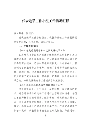 代表选举工作小组工作情况汇报