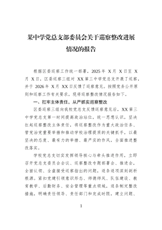某中学党总支部委员会关于巡察整改进展情况的报告