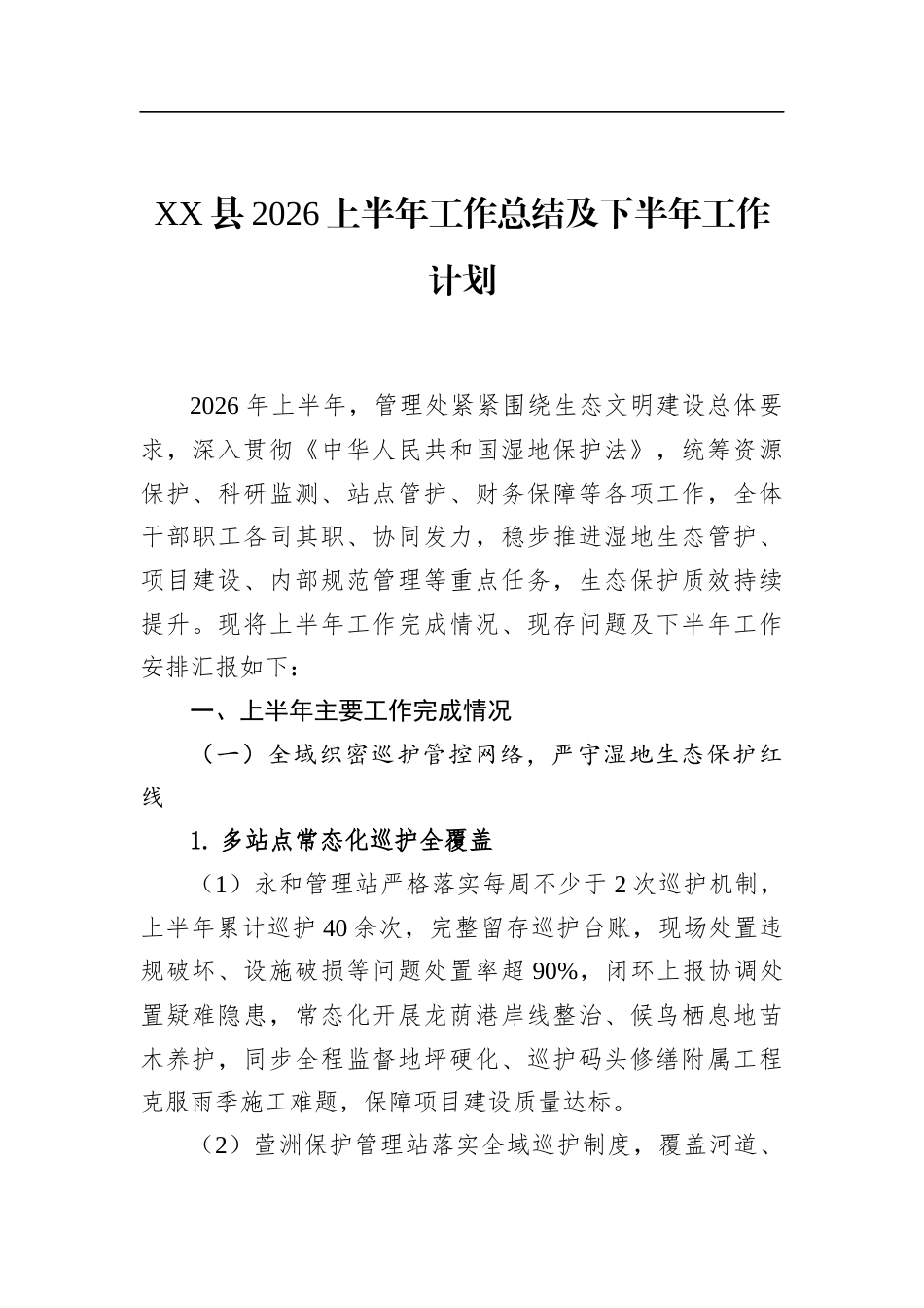 县2026上半年工作总结及下半年工作计划_第1页