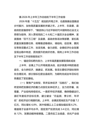 镇2026年上半年工作总结和下半年工作安排计划