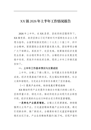 镇2026年上半年工作情况报告