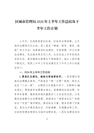区城市管理局2026年上半年工作总结及下半年工作计划 (1)