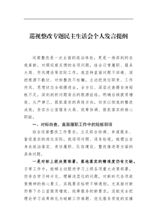 巡视整改专题民主生活会个人发言提纲