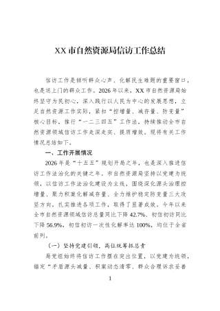 XX市自然资源局信访工作总结