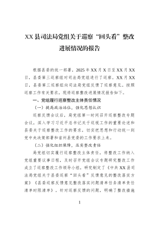 XX县司法局党组关于巡察“回头看”整改进展情况的报告