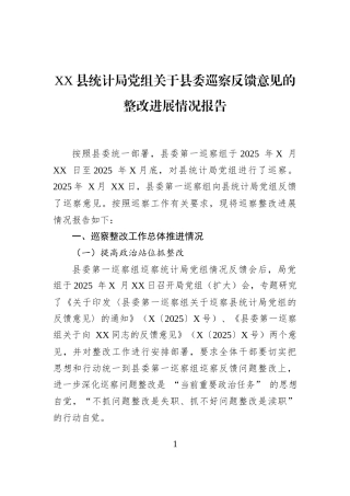 XX县统计局党组关于县委巡察反馈意见的整改进展情况报告