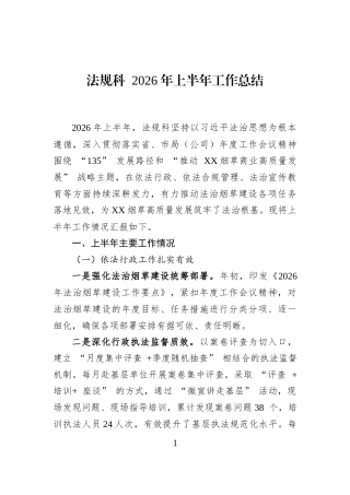 法规科+2026年上半年工作总结