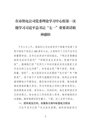 在市供电公司党委理论学习中心组第一议题学习习近平总书记“七一”重要讲话精神感悟