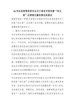 市应急管理局委员会关于落实市委巡察“回头看”反馈意见整改情况的报告