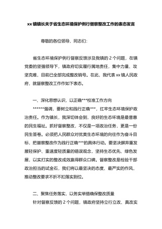 镇镇长关于省生态环境保护例行督察整改工作的表态发言