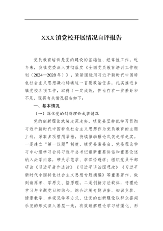 X镇X校开展情况自评报告