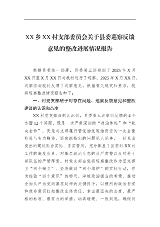 乡村支部委员会关于县委巡察反馈意见的整改进展情况报告