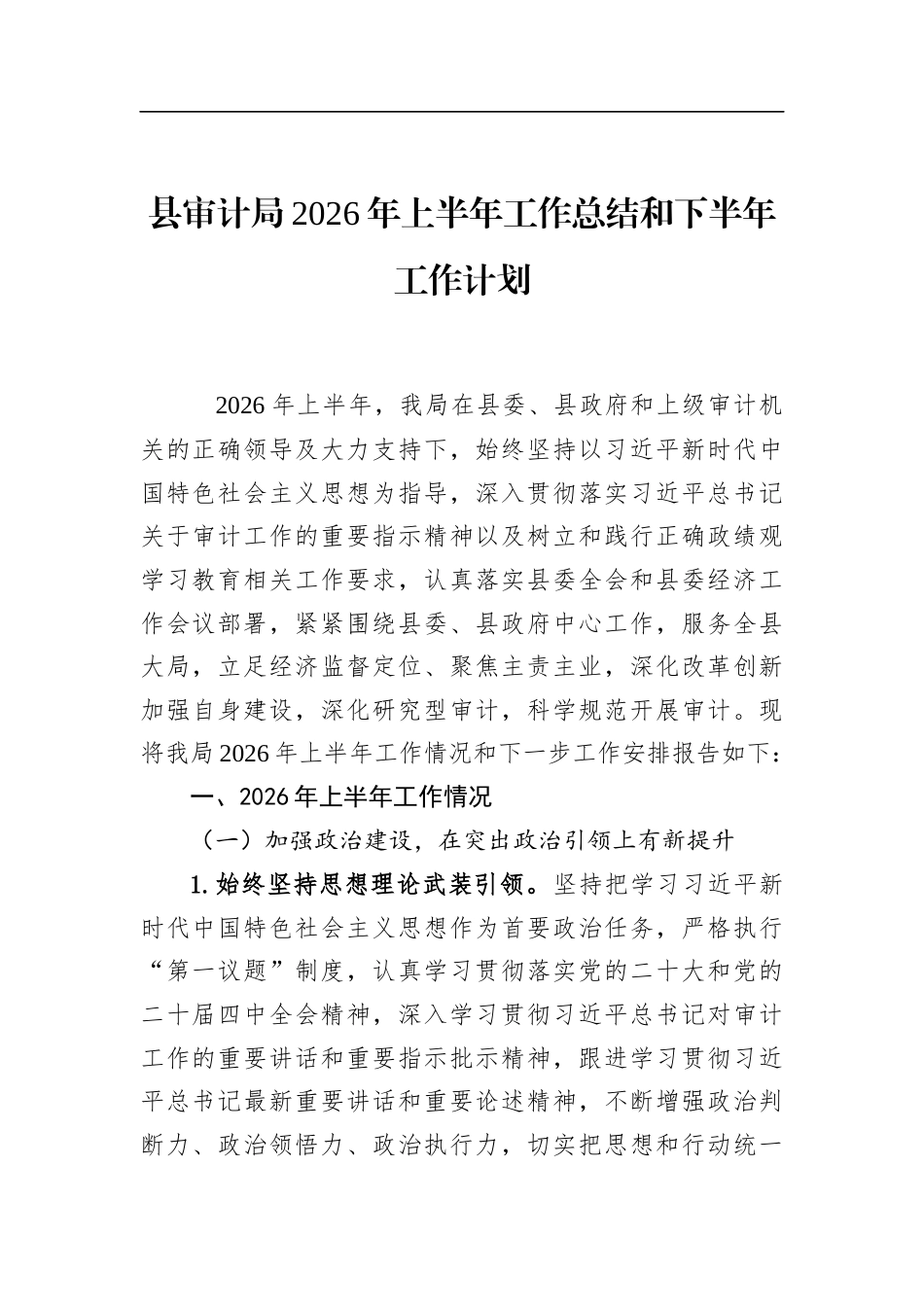 县审计局2026年上半年工作总结和下半年工作计划_第1页