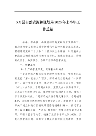 县自然资源和规划局2026年上半年工作总结