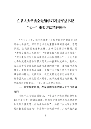在县人大常委会党组学习习近平总书记“七一”重要讲话精神感悟