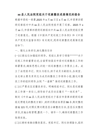 县人民法院党组关于巡察整改进展情况的报告