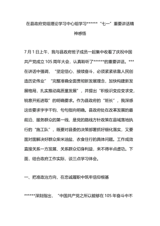 在县政府党组理论学习中心组学习“七一”重要讲话精神感悟