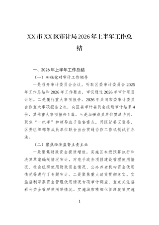 XX市XX区审计局2026年上半年工作总结