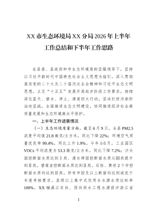 XX市生态环境局XX分局2026年上半年工作总结和下半年工作思路