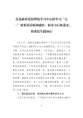 在县政府党组理论学习中心组学习“七一”重要讲话精神感悟：躬身力行抓落实，情系民生践初心