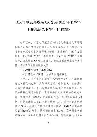 XX市生态环境局XX分局2026年上半年工作总结及下半年工作思路