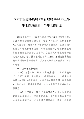 XX市生态环境局XX管理局2026年上半年工作总结和下半年工作计划