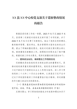XX县XX中心校党支部关于巡察整改情况的报告