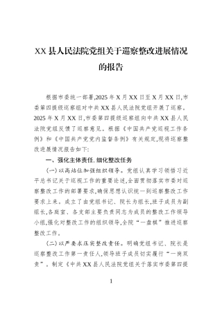 XX县人民法院党组关于巡察整改进展情况的报告