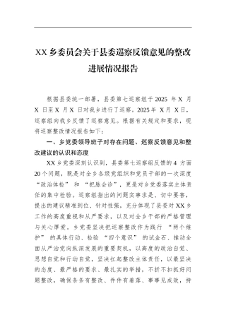 乡委员会关于县委巡察反馈意见的整改进展情况报告