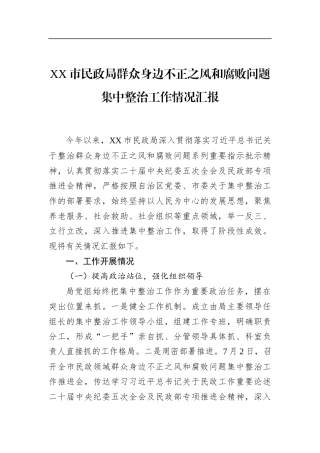 市民政局群众身边不正之风和腐败问题集中整治工作情况汇报