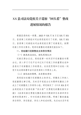 县司法局党组关于巡察“回头看”整改进展情况的报告