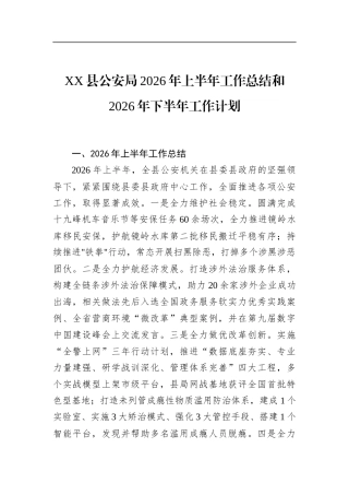 县公安局2026年上半年工作总结和2026年下半年工作计划
