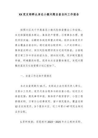 党支部群众身边小微问题自查自纠工作报告