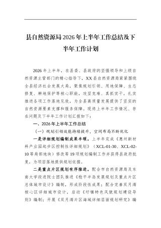 县自然资源局2026年上半年工作总结及下半年工作计划