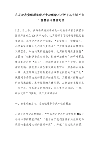 在县政府党组理论学习中心组学习党“七一”重要讲话精神感悟