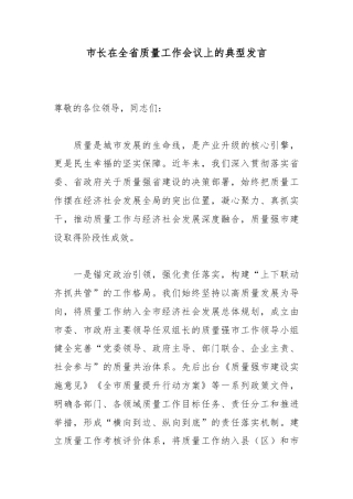 市长在全省质量工作会议上的典型发言