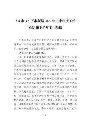 XX市XX区水利局2026年上半年度工作总结和下半年工作举措