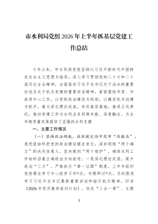 市水利局党组2026年上半年抓基层党建工作总结