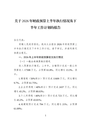 关于2026年财政预算上半年执行情况及下半年工作计划的报告