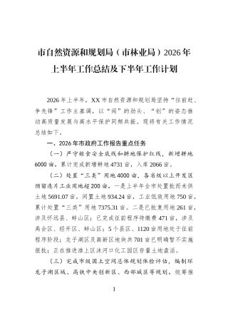 市自然资源和规划局（市林业局）2026年上半年工作总结及下半年工作计划