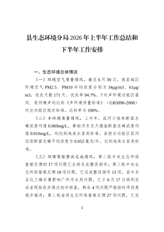 县生态环境分局2026年上半年工作总结和下半年工作安排