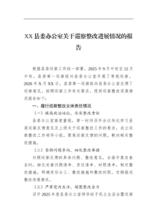 县委办公室关于巡察整改进展情况的报告