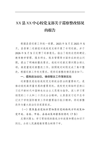 县中心校党支部关于巡察整改情况的报告